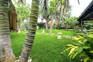 Un jardín bien cuidado con palmeras, césped y faroles de piedra.