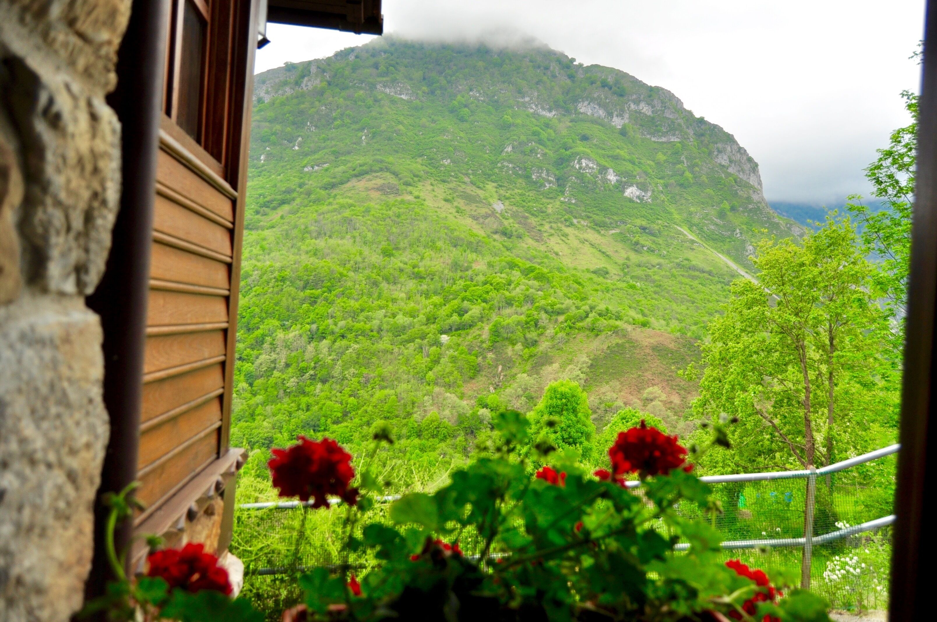 Vetta montuosa vista da un balcone con ringhiera in legno e fiori rossi in primo piano.