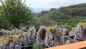 Un balcon offrant une vue sur un paysage vallonné, avec des arbres et une chaîne de montagnes lointaine.