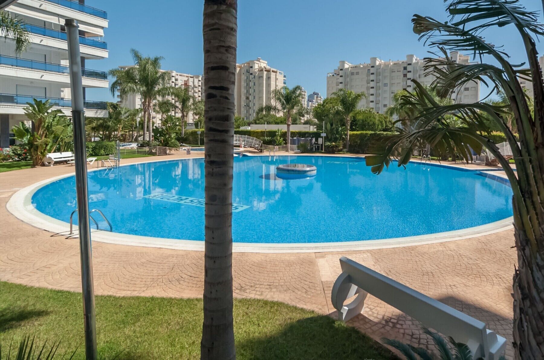 A swimming pool with a circular shape, surrounded by a brick walkway, palm trees, and a building complex in the background.