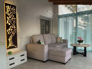 TV connectée, cheminée, livres, chaîne hi-fi