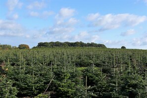 Uklassifisert bilde, 3 av 36, knapp