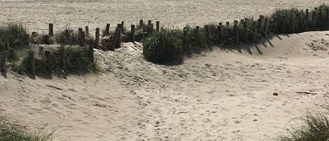 Plage à proximité, chaises longues