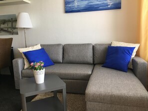 Fernseher, Bücher