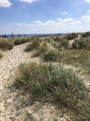 Beach nearby, sun loungers