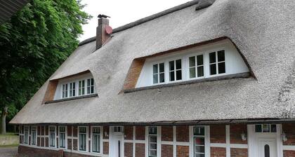 Wohnung 1 - Haus-Auetal