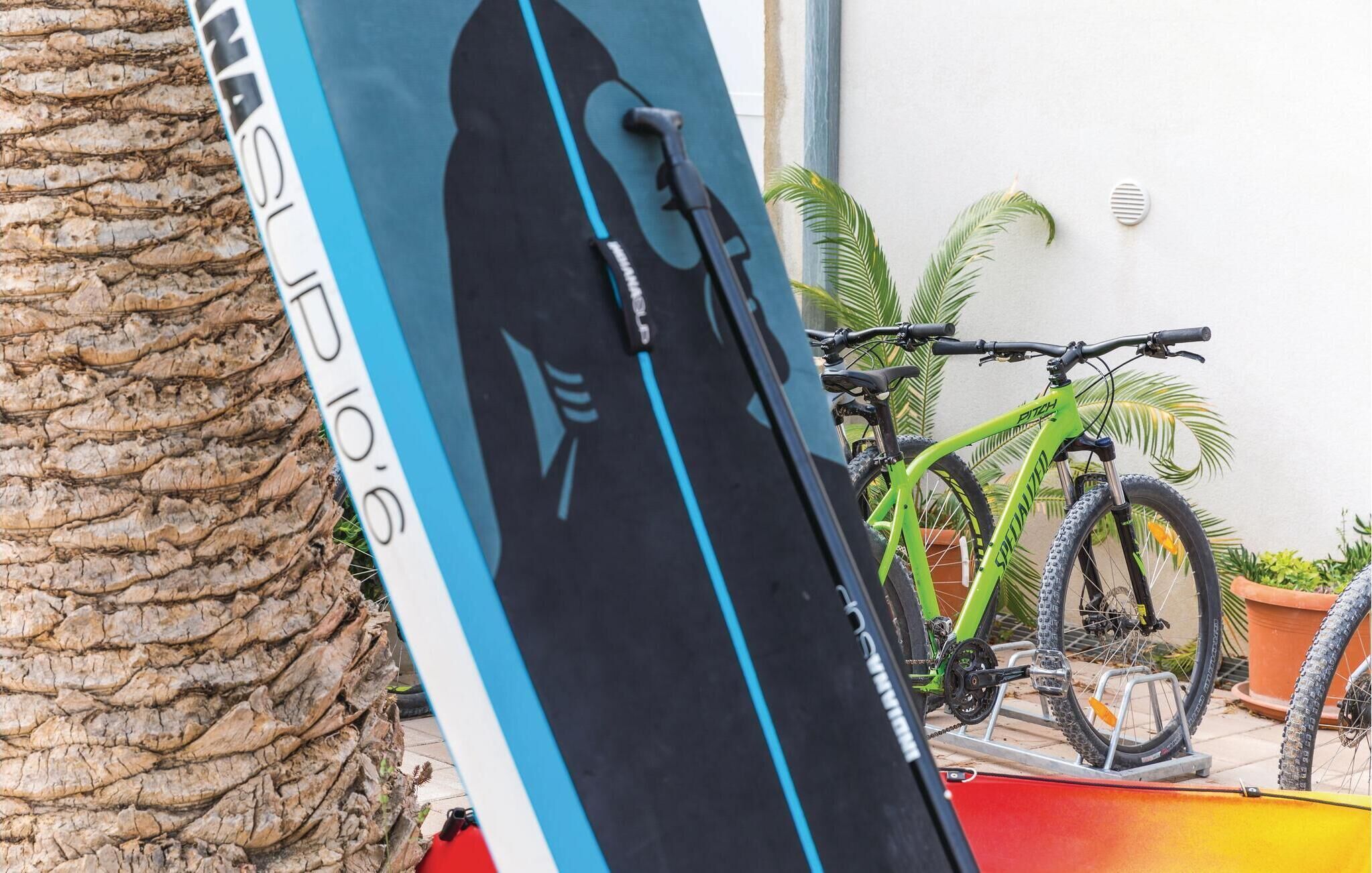 A surfboard leaning against a tree, a bicycle, and a potted plant.