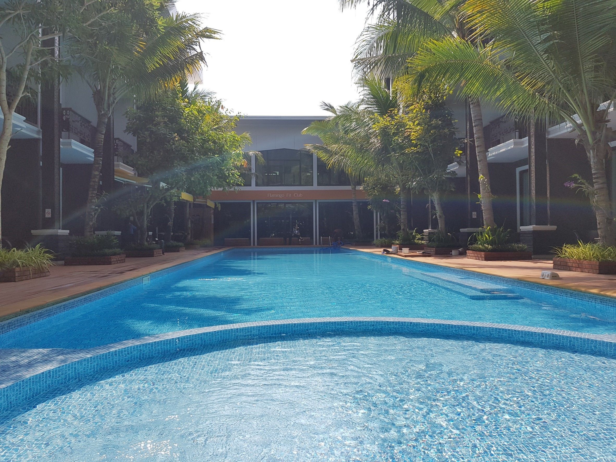 Una piscina con borde de azulejos, rodeada de palmeras y un edificio que dice "Flamingo Fit Club".