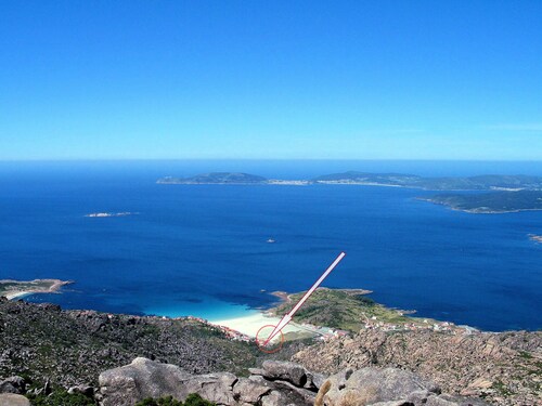 Lobeira do Mar