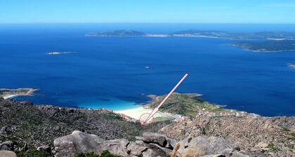 Lobeira do Mar