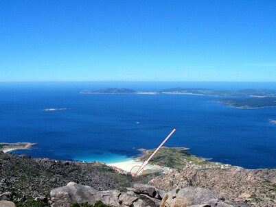 Lobeira do Mar