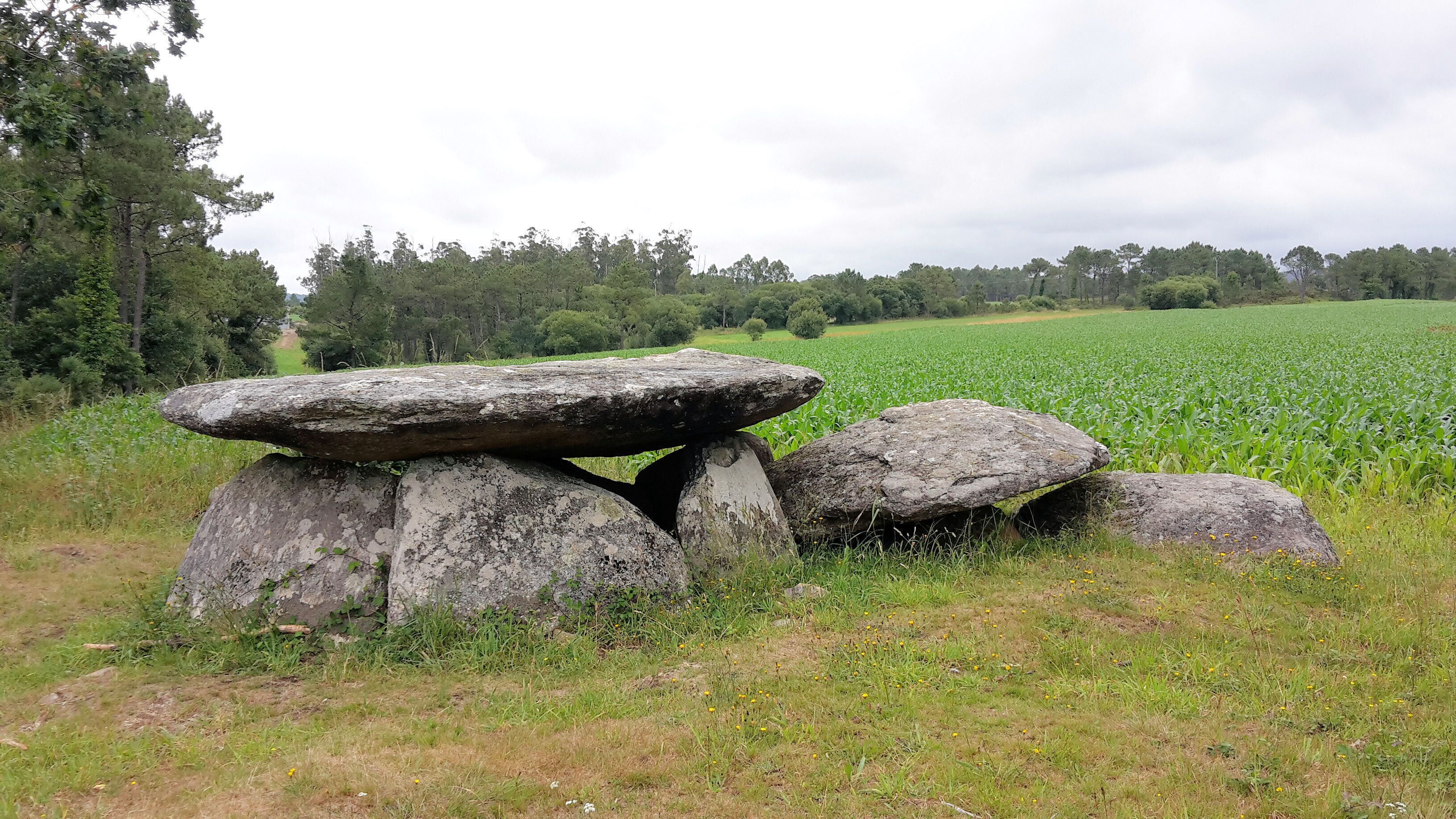 A stone structure in a grassy field with a crop field in the background.
