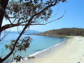 Una playa con agua azul cristalina, orilla arenosa y un árbol en primer plano.