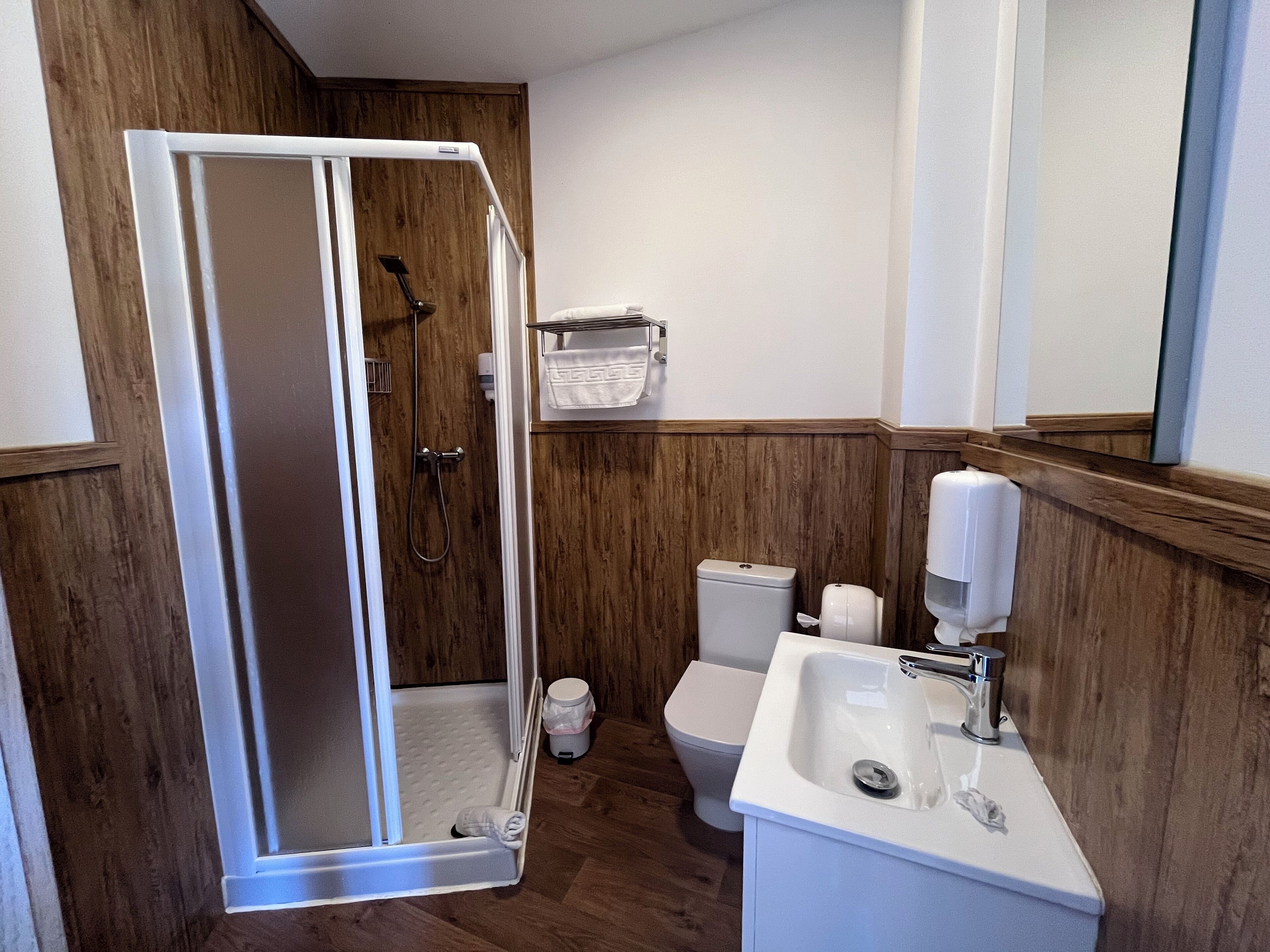 A bathroom with a walk-in shower, toilet, and sink.