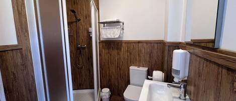 A bathroom with a walk-in shower, toilet, and sink.