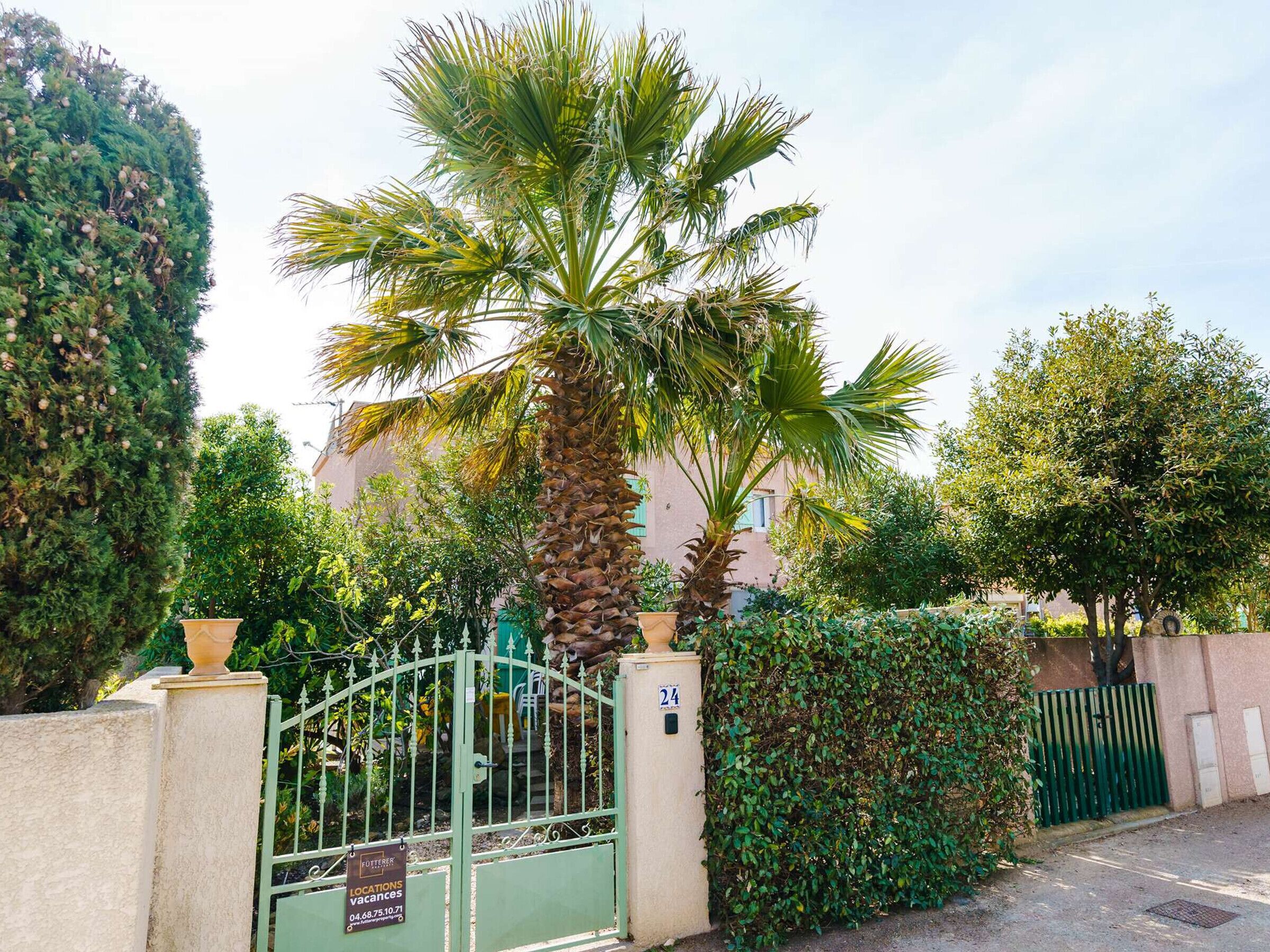 A gated entrance with a palm tree and a building in the background.