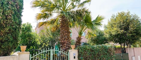 A gated entrance with a palm tree and a building in the background.