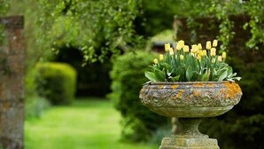 Un jardín con una urna de piedra que contiene flores amarillas.