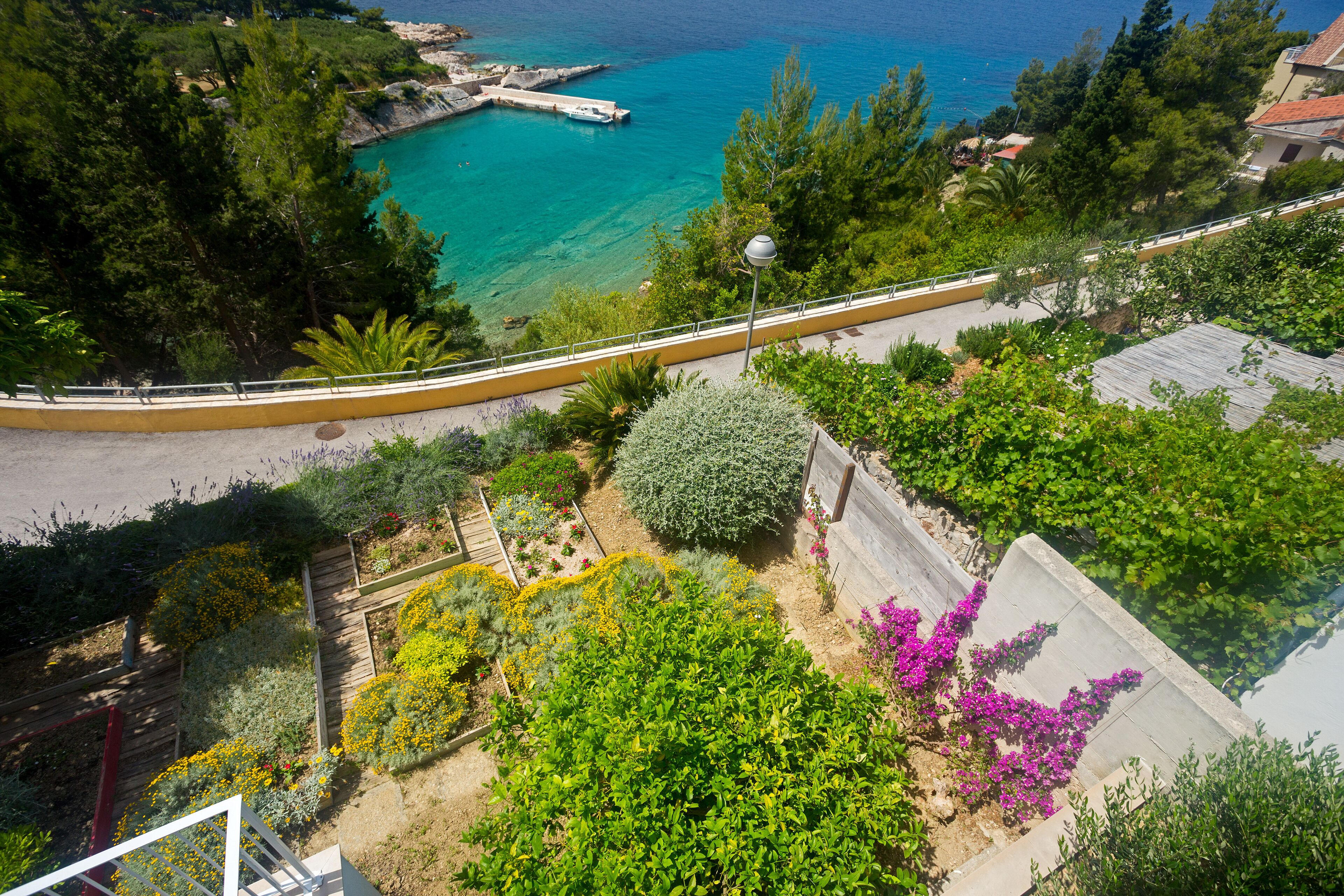 Un giardino costiero con un vialetto lastricato, un muro in pietra e vista sul mare.