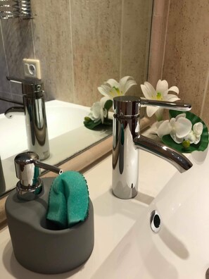 Douche, séchoir à cheveux, serviettes fournies, savon