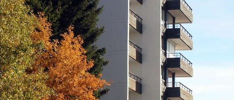 A multi-story building with balconies and a tree with autumn leaves.