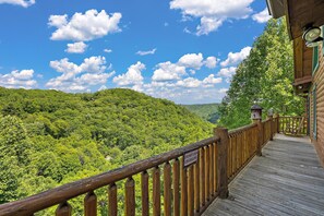 Property grounds - Elegant Cabin on Mountain Ridge (Vilas)