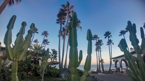 Property grounds - WOW! Discounted 30%!!!  SURFERS DREAM LOCATION!!! New Beach Home in Las Gaviotas (Rosarito)