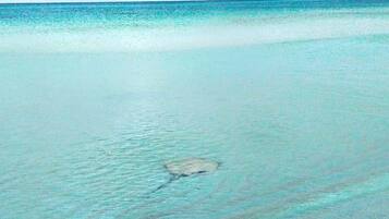 Beach nearby, beach towels