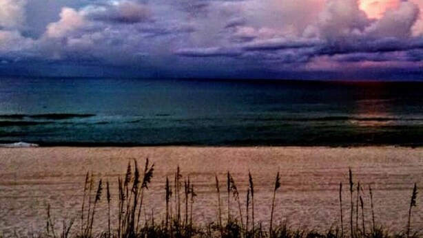 Ein Strand mit Wellen und hohem Gras im Vordergrund.