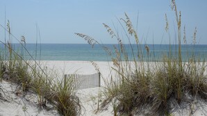 A beach with sand dunes and a wooden fence.