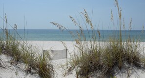 على الشاطئ، كراسي للتشمس