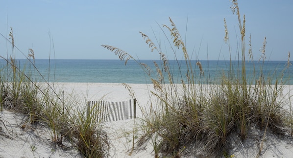 Une plage avec des dunes de sable et une clôture en bois.
