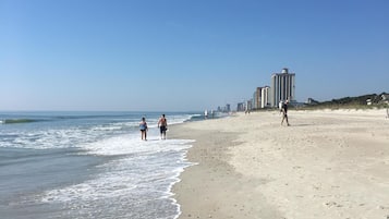 海滩
