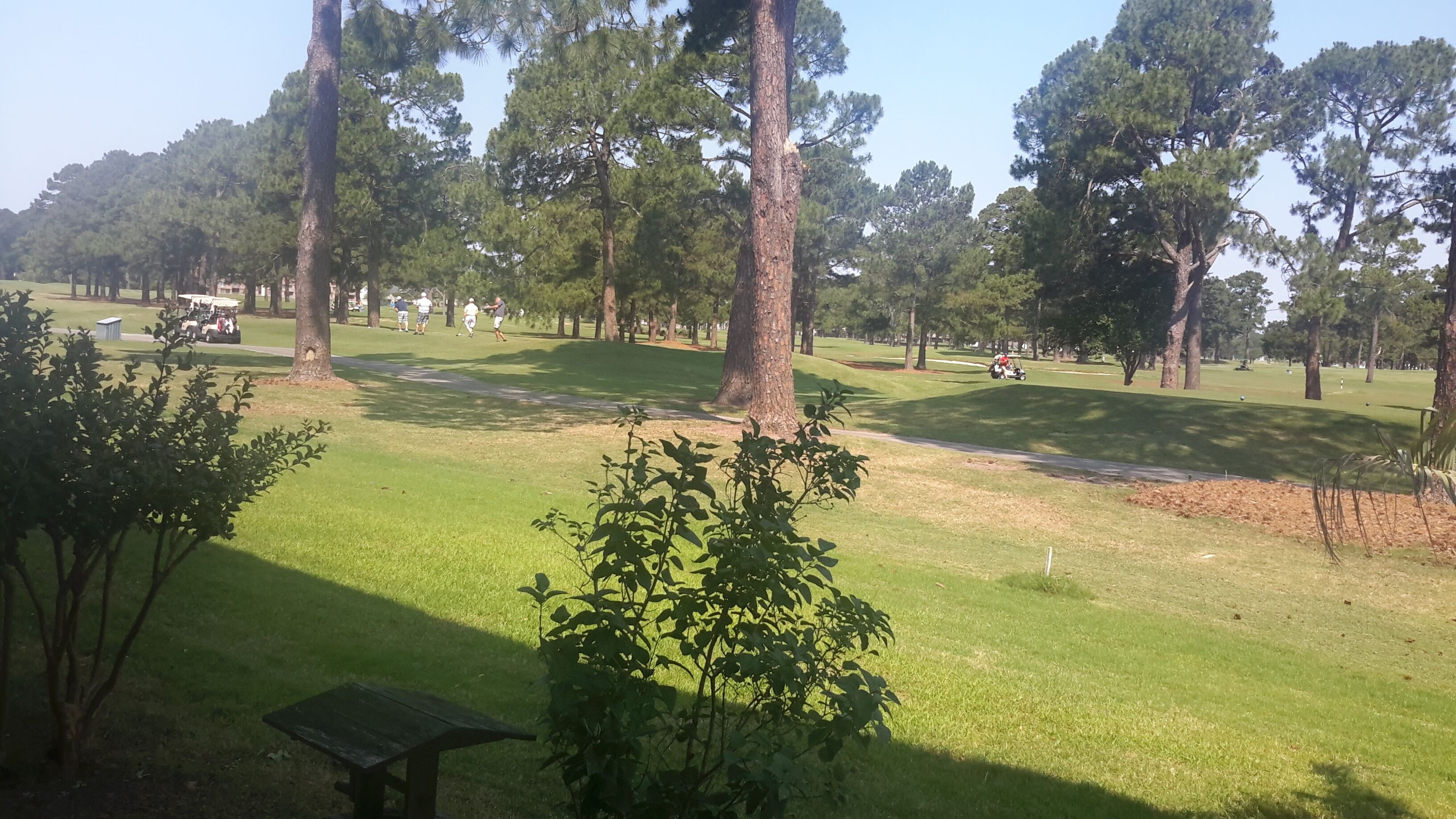 A park with a picnic table, trees, and a golf cart.