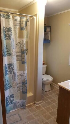 A bathroom with a toilet, a shower curtain, and a sink. - The Duke's River House (Claxton)
