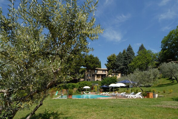 Una piscina al aire libre, sombrillas, tumbonas