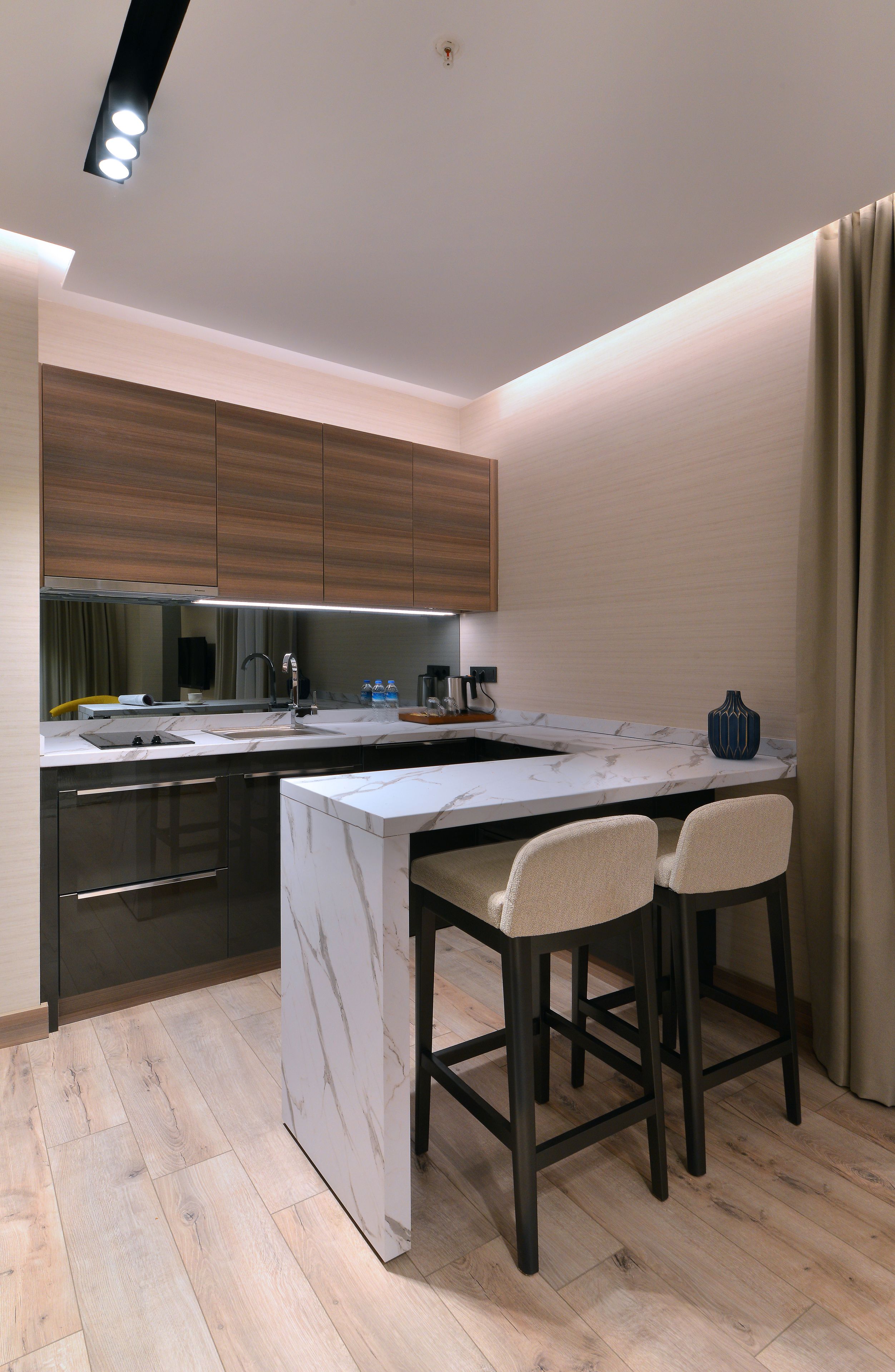 deluxe suite, kitchen | private kitchenette | fridge, electric kettle