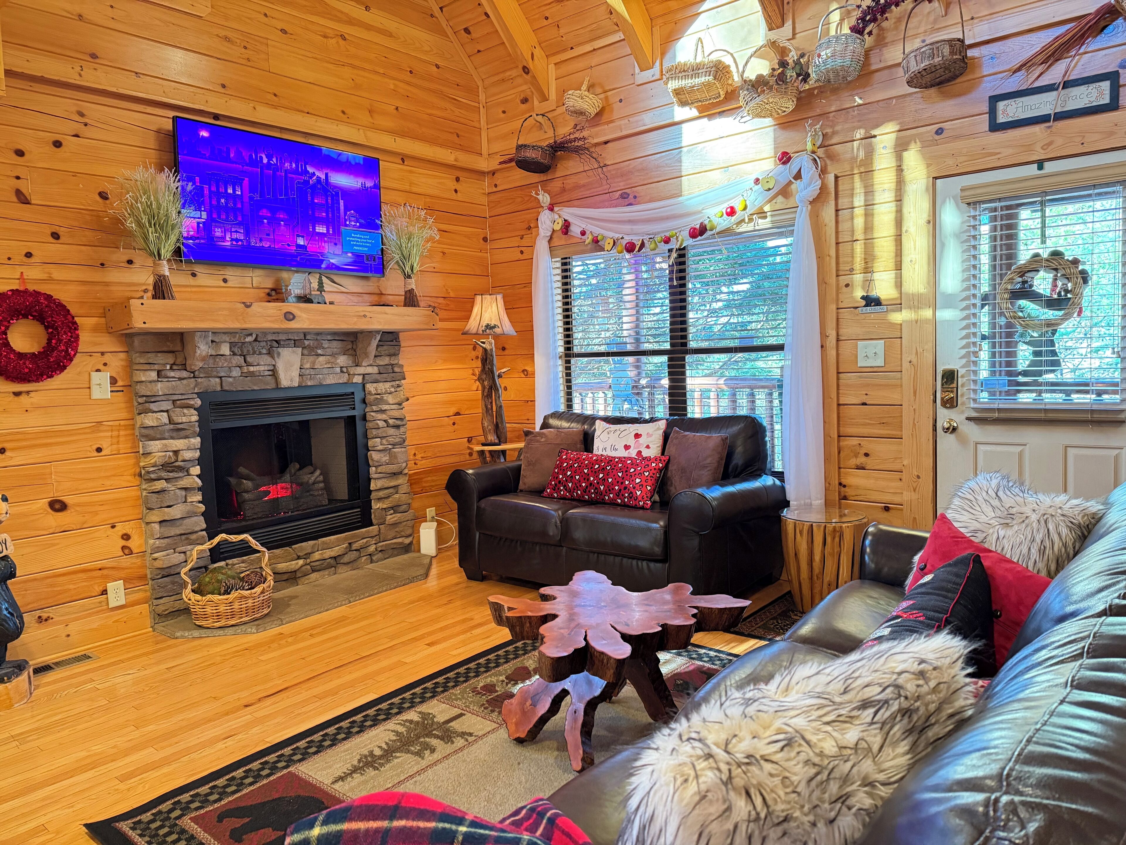 TV connectée, cheminée, lecteur de DVD