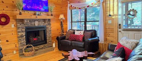 Smart-TV, Kamin, DVD-Player