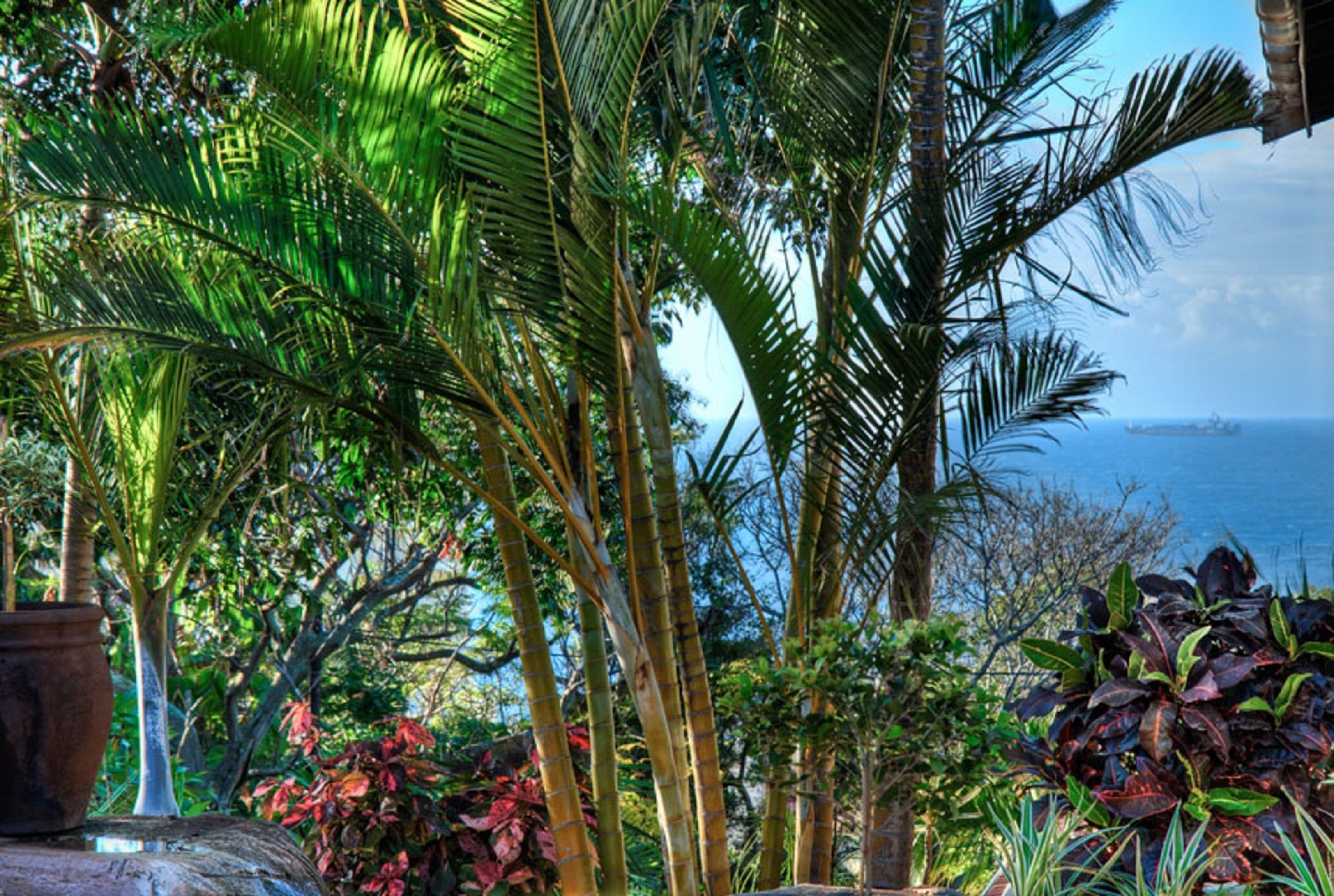 Photo - Rostalyn Guesthouse