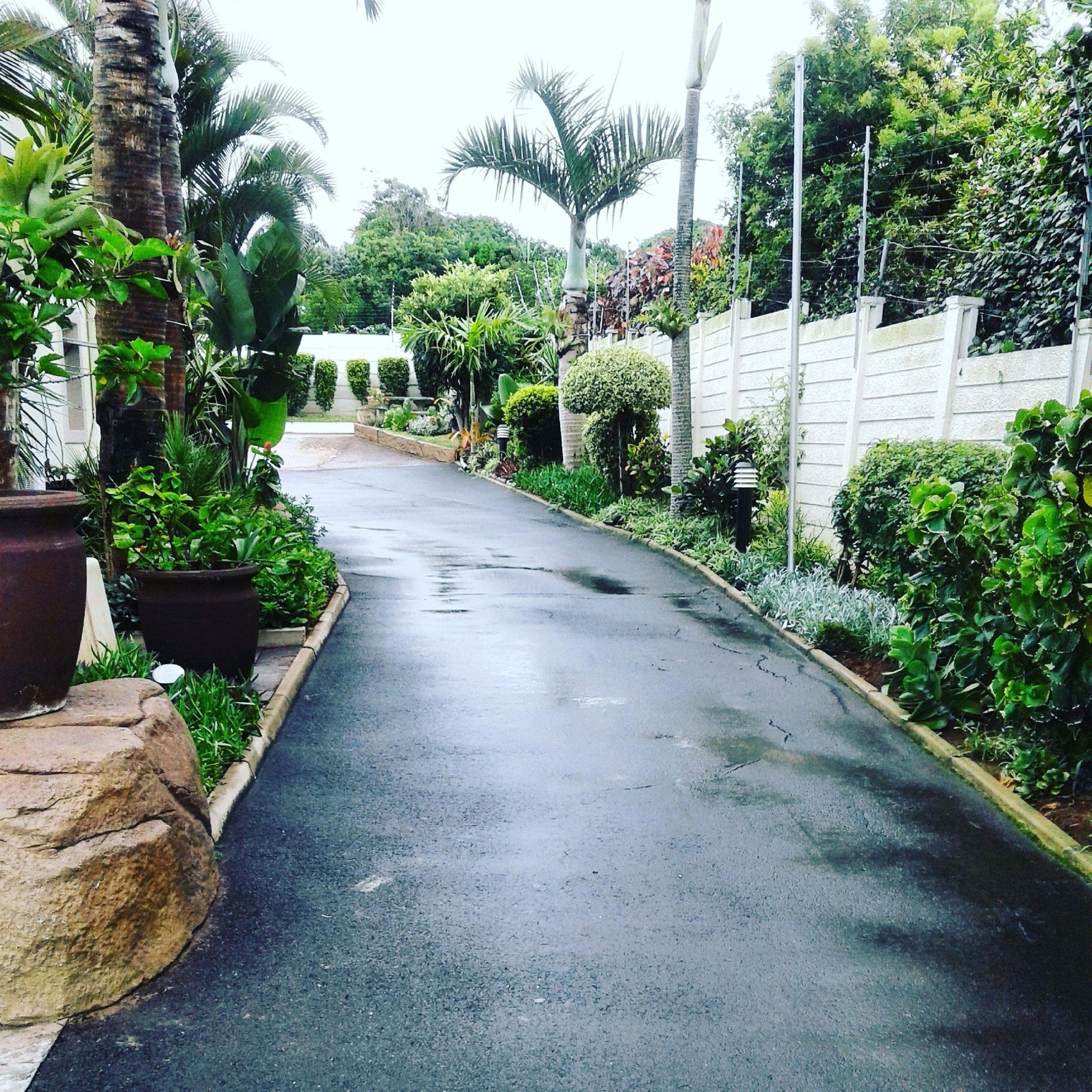 Photo - Rostalyn Guesthouse