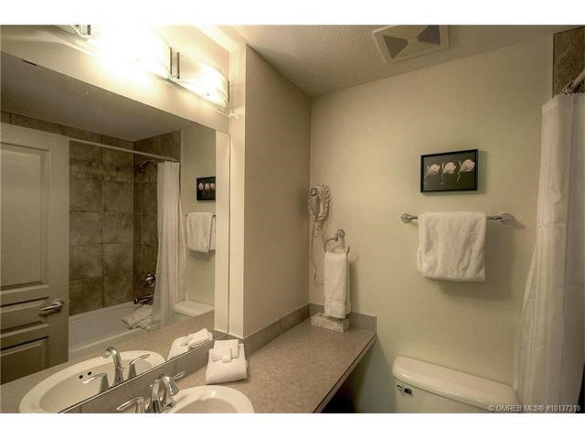 combined shower/bathtub, hair dryer, towels