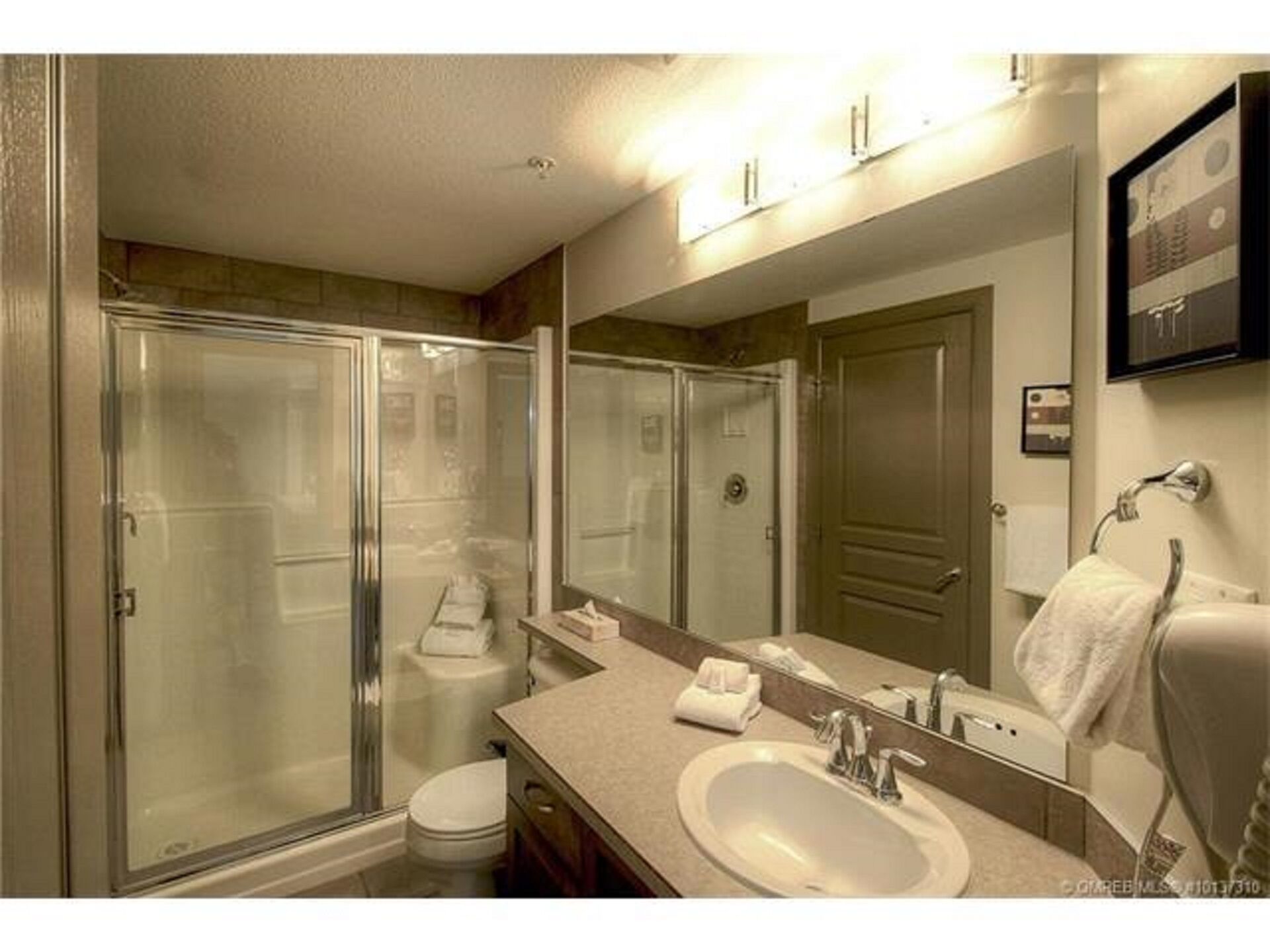 combined shower/bathtub, hair dryer, towels