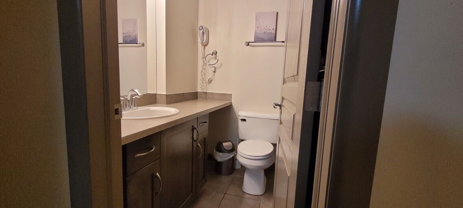 combined shower/bathtub, hair dryer, towels