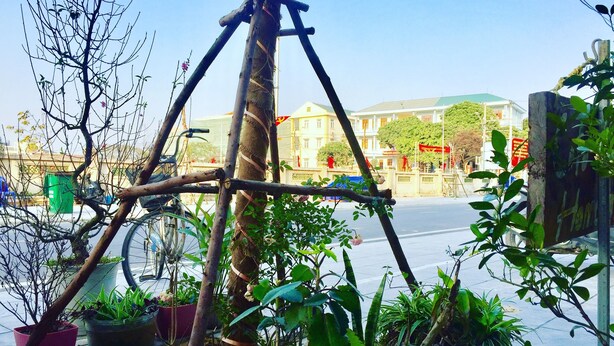 A balcony with potted plants, a wooden trellis, and a view of a street with buildings. - CoTo Family Homestay (Co To)