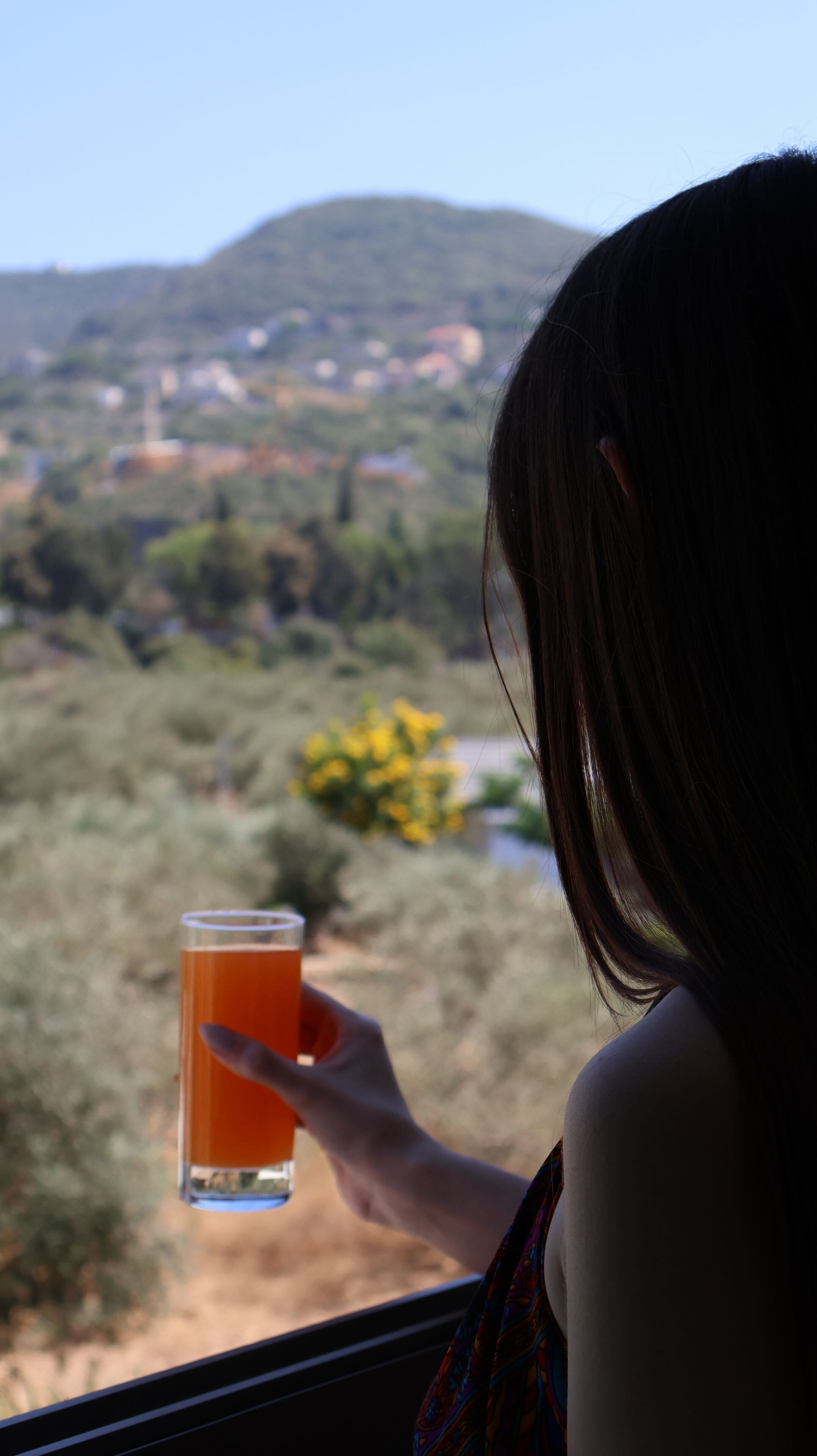A person holding a glass of orange liquid, overlooking a landscape with hills and sparse vegetation.