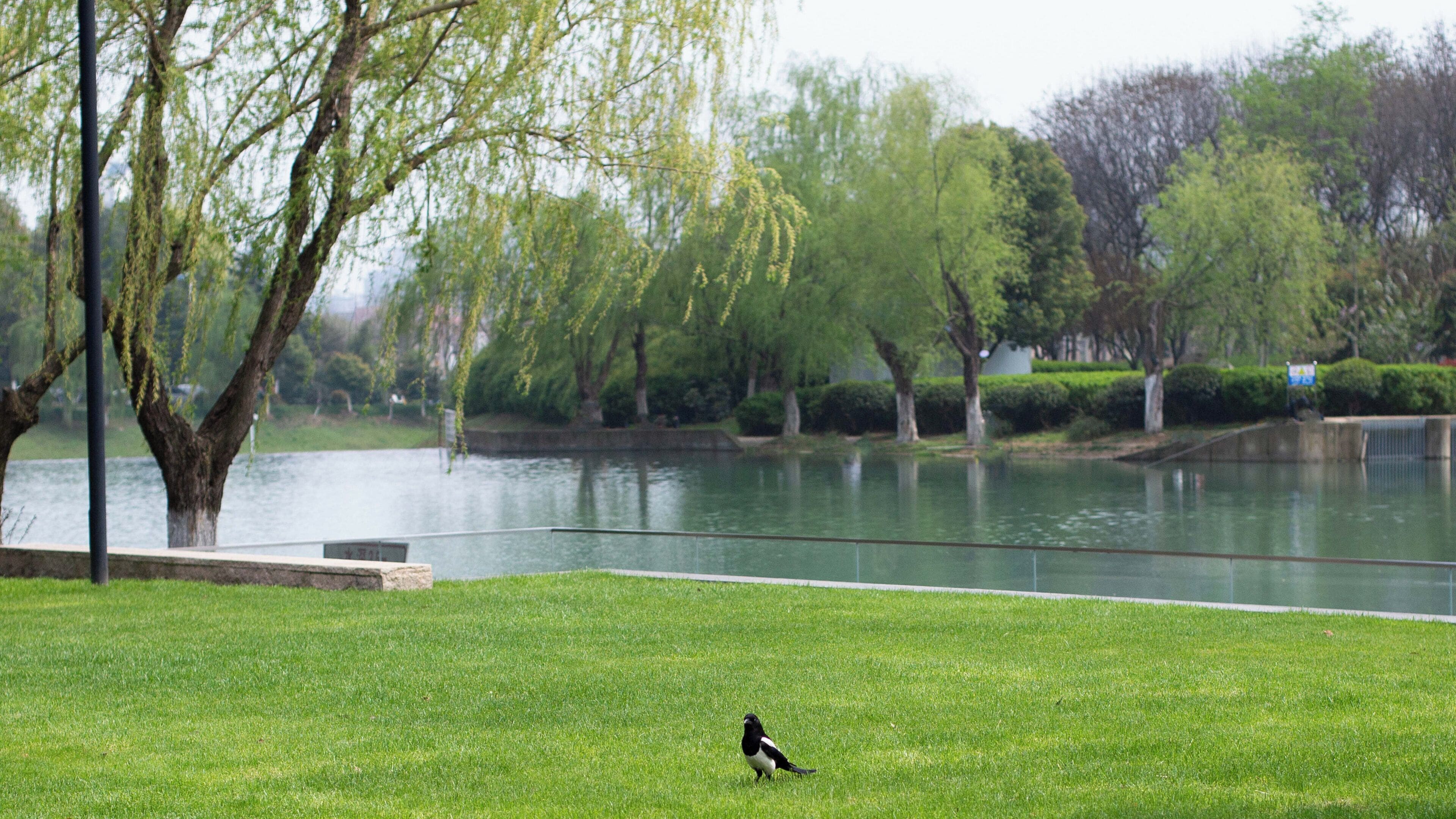 classic room, garden view | point of interest