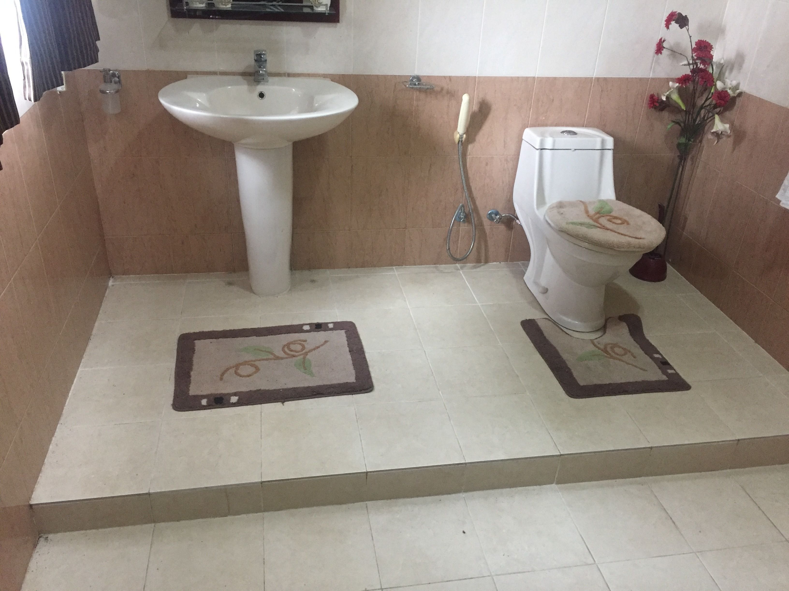 Une salle de bain équipée d’un lavabo, de toilettes, d’une douche et de deux tapis décoratifs sur le sol.