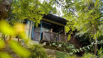 A small wooden cabin with a balcony, surrounded by dense foliage.