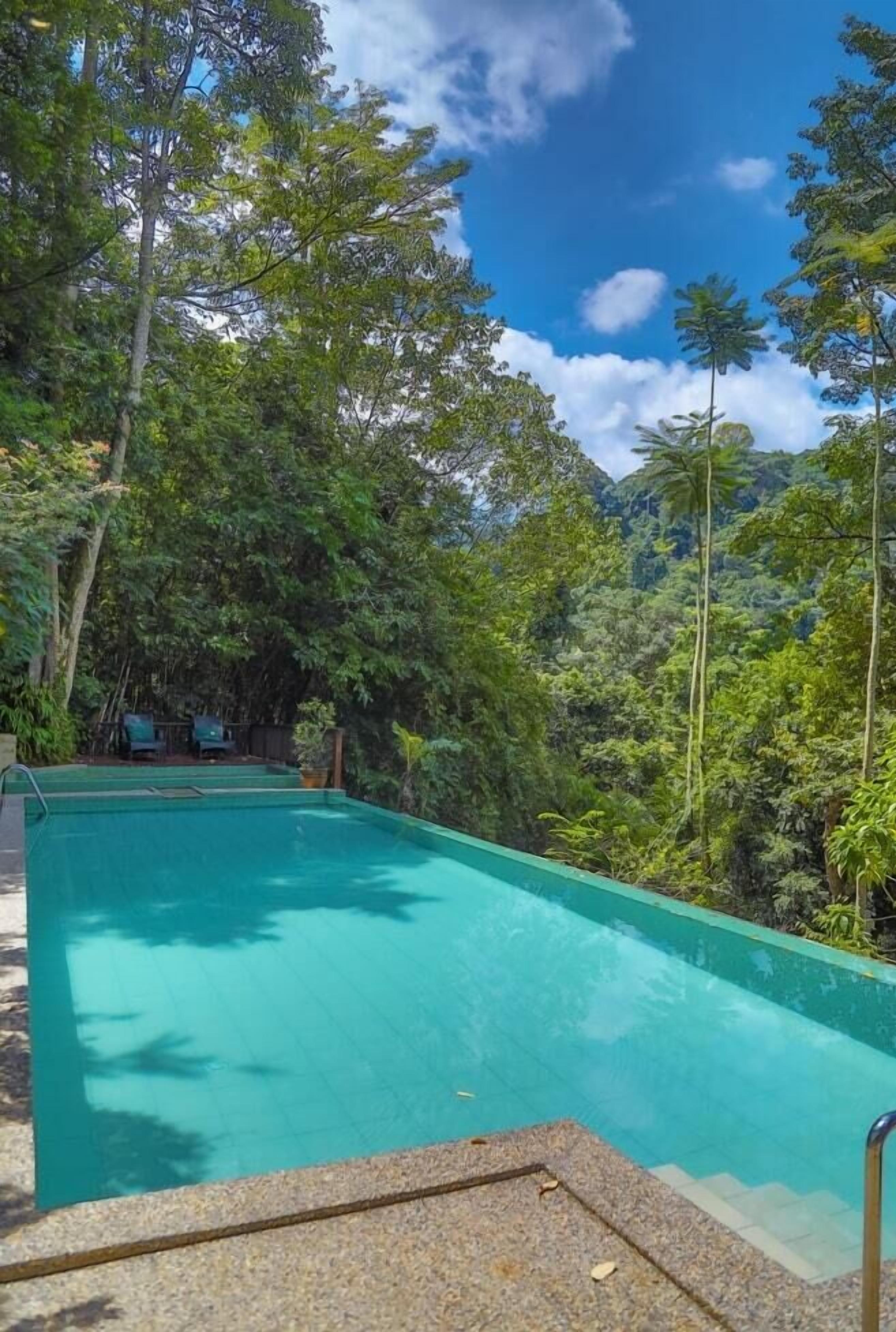 A rectangular pool with clear blue water, surrounded by lush greenery and trees.